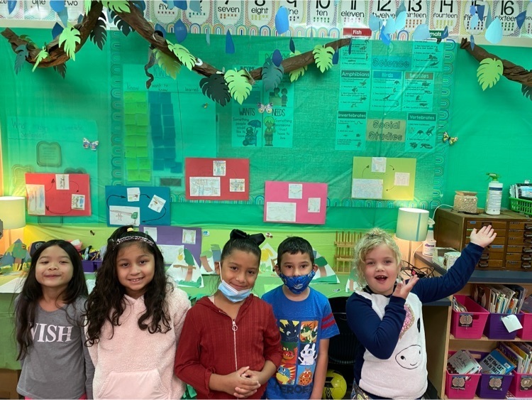 1st grade zoo