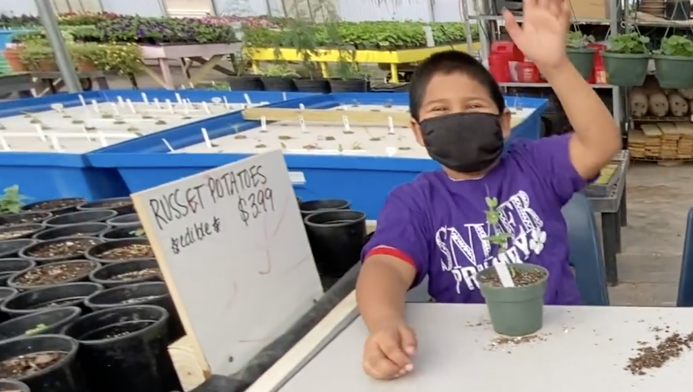 Snyder Primary Students Embark on a Plant-Spy Adventure at SISD's Evergreen Research & Retail Greenhouse