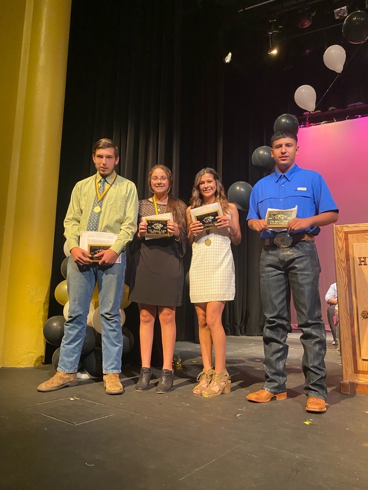 too Tiger award winners