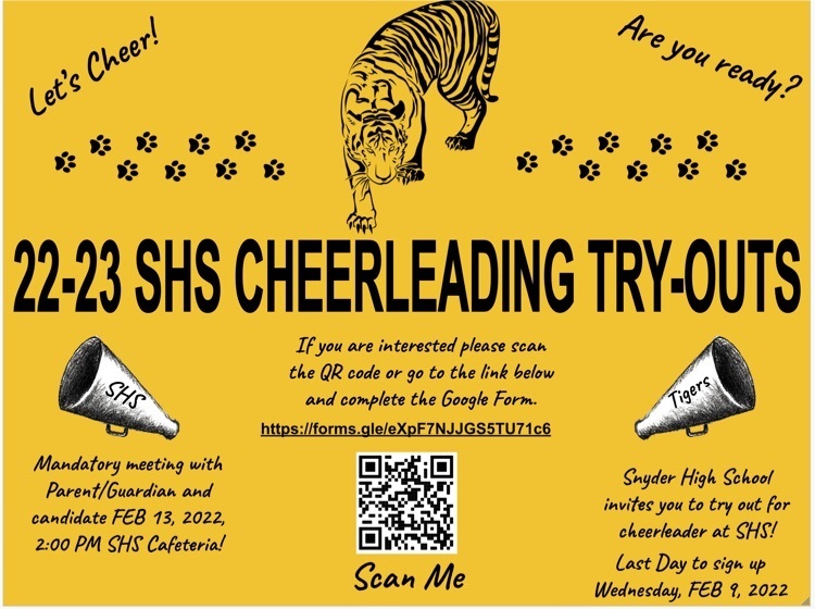 cheerleading tryouts graphic 
