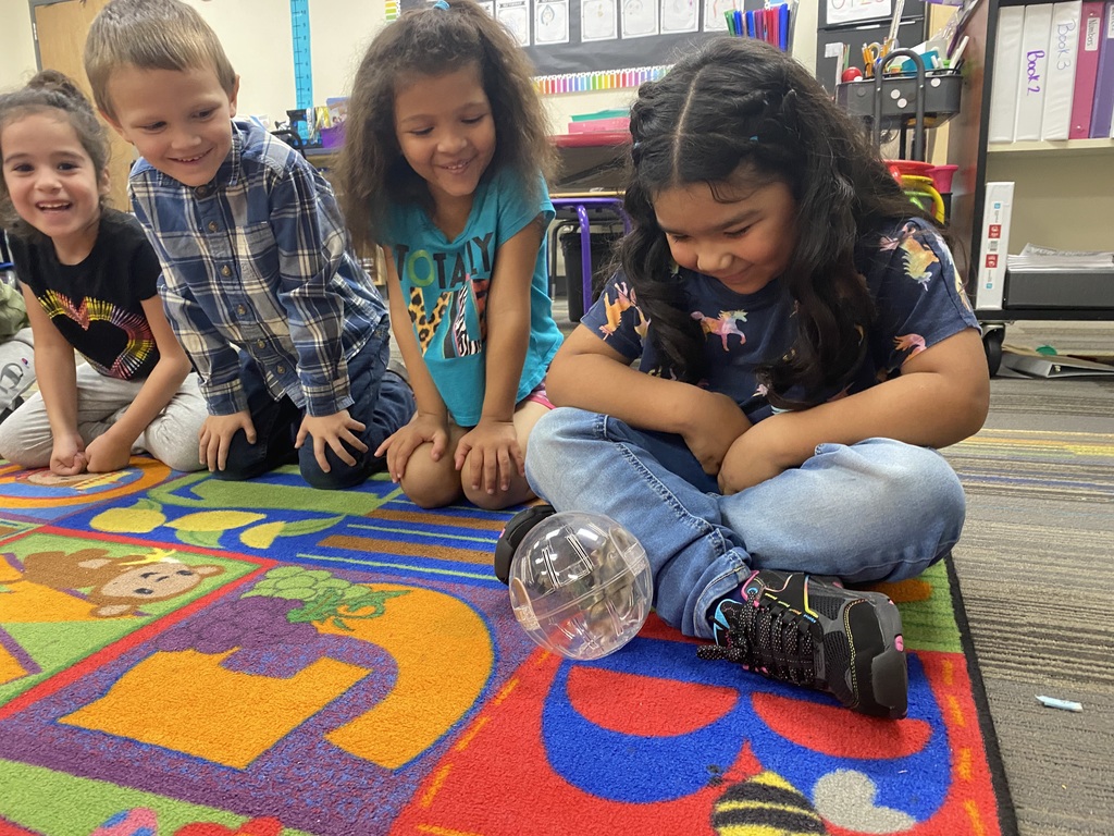 students playing with hamster