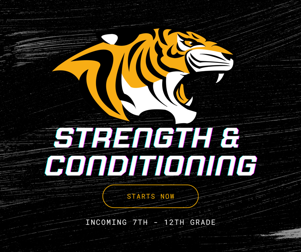 summer strength and conditioning