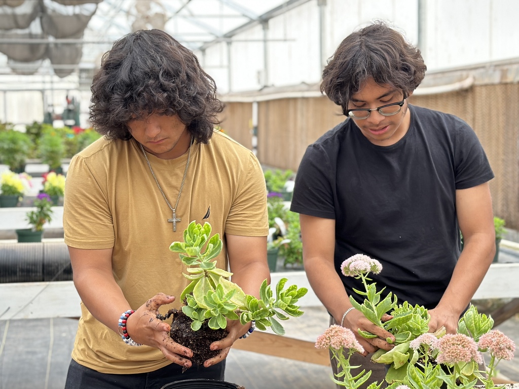 photos from greenhouse