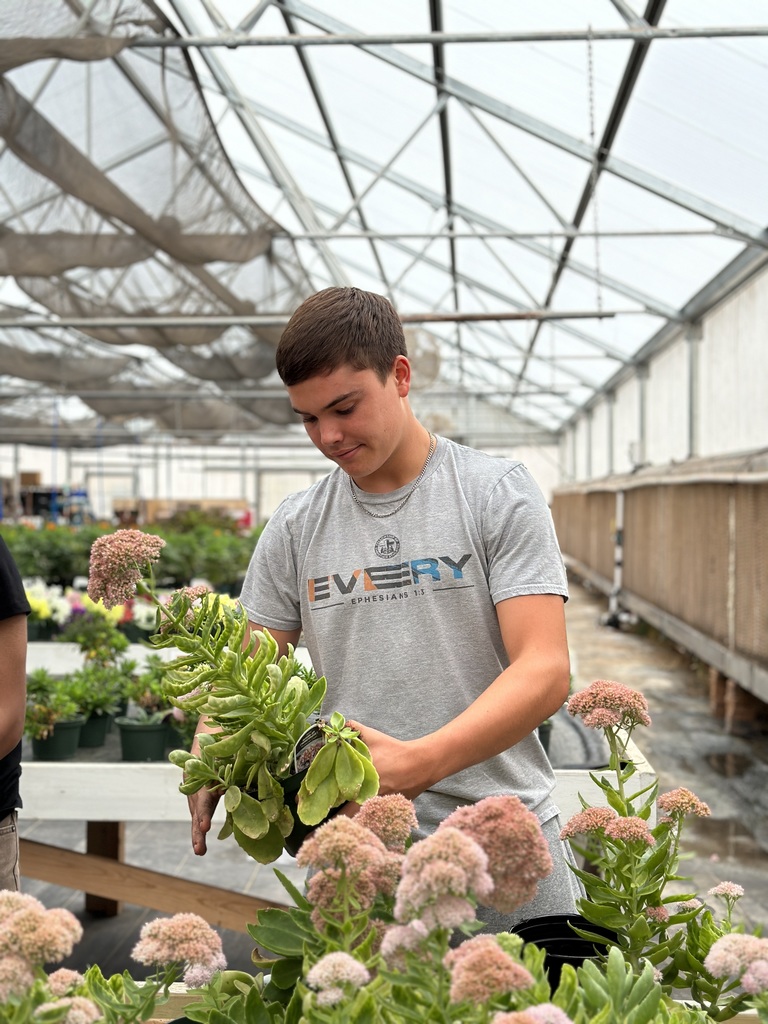 photos from greenhouse